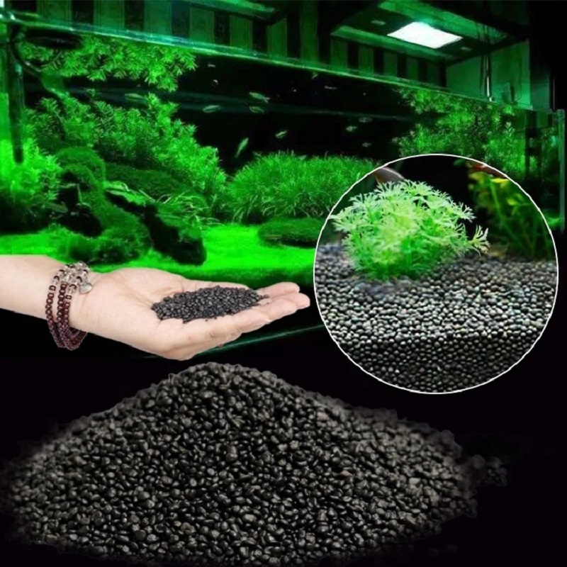 Aquarium Planted Seeds - Aquarium Wasser Gras Schlamm Pflanze Samen