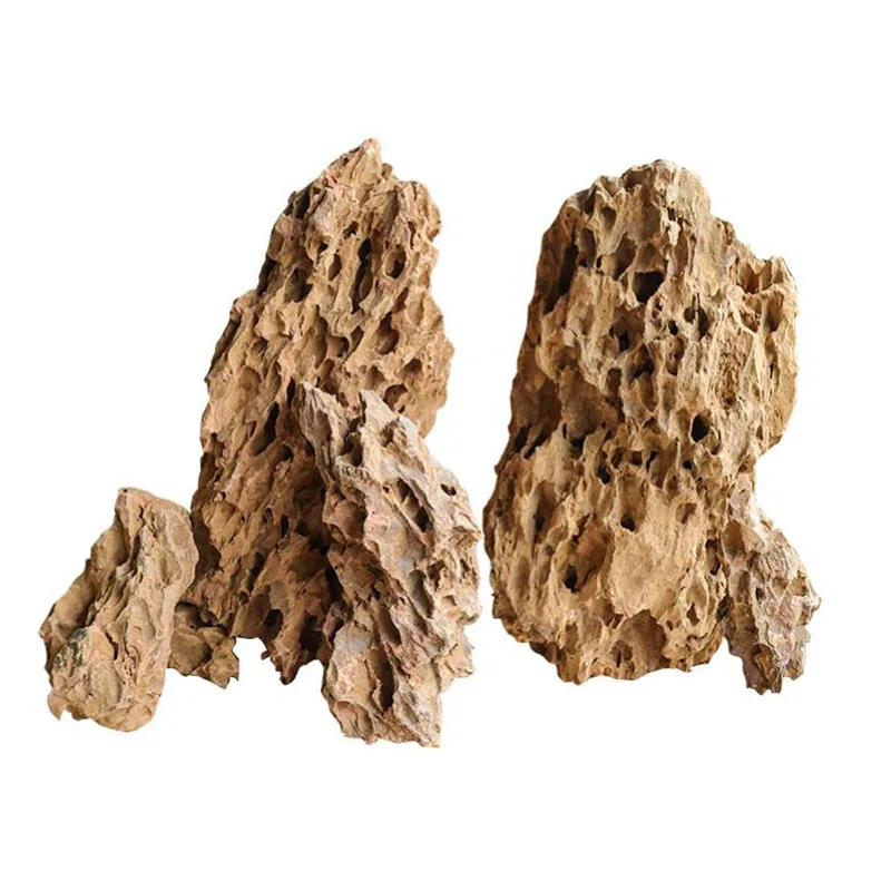 Aquarium Planted Seeds - 250 g 500 g 1000 g
