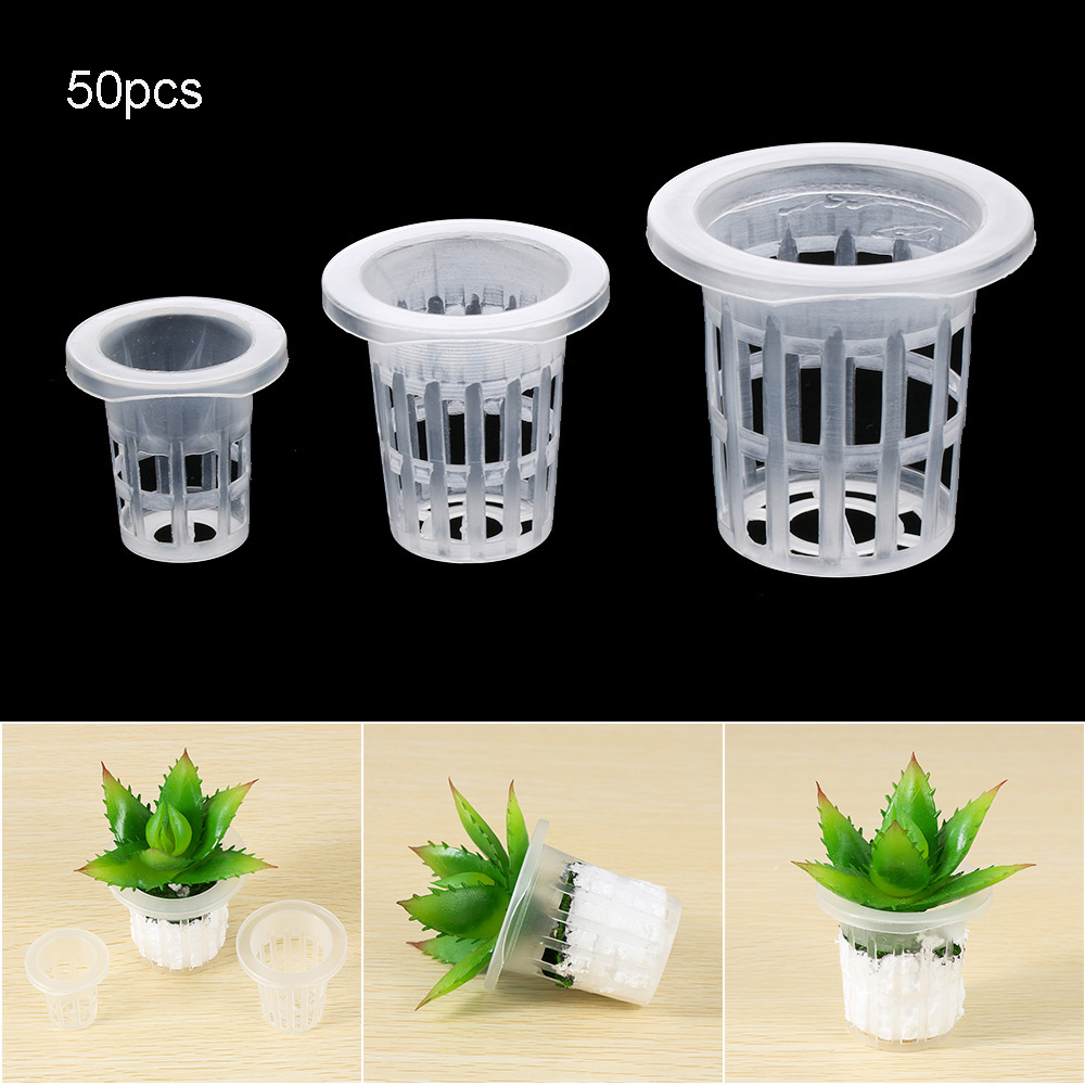 Aquarium Planted Seeds - 10/50 stücke Garten Liefert Aquarium Pflanzen