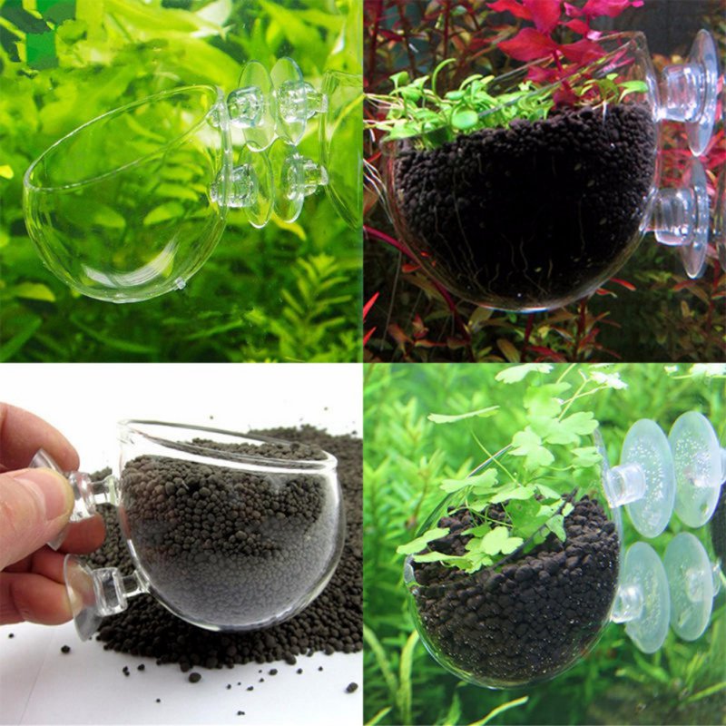 Aquarium Planted Seeds - Aquarium hängen Blumentopf Glas Zylinder Tasse