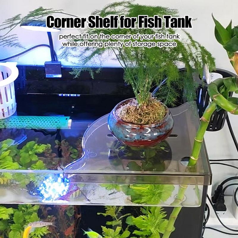 Aquarium Planted Seeds - Aquarium Eckregal Korallen Frag Rack Acryl