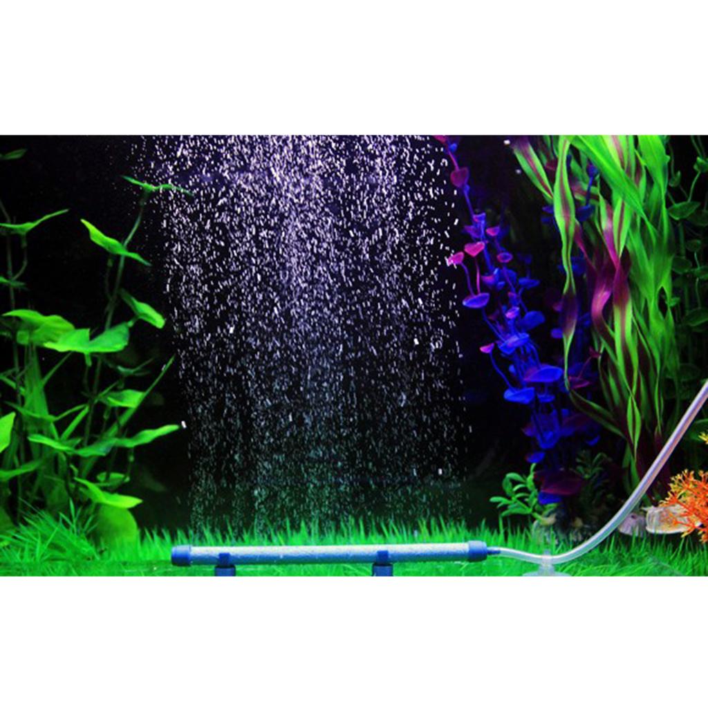 Sauerstoff-Diffusorstab für Aq – Planted Aquarium Air Stone Bewertung und Preis