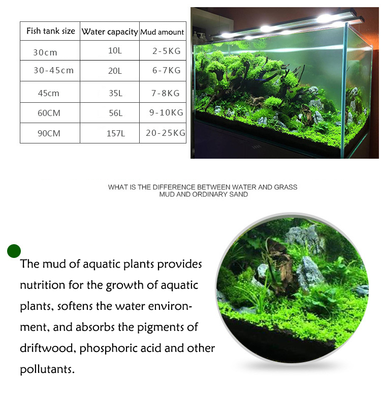 Aquarium Wasser Gras Schlamm A – Aquarium Planted Seeds Bewertung und Preis