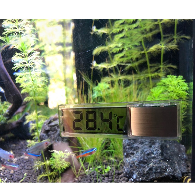 Wasserdicht Aquarium Thermomet – Aquarium Planted Seeds Bewertung und Preis