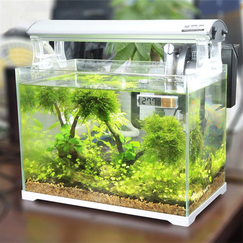 Wasserdicht Aquarium Thermomet – Aquarium Planted Seeds Bewertung und Preis