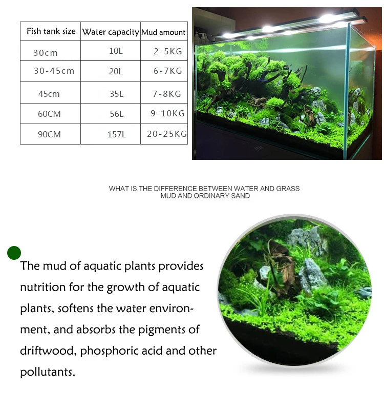 Aquarium Wasser Gras Schlamm P – Aquarium Planted Seeds Bewertung und Preis