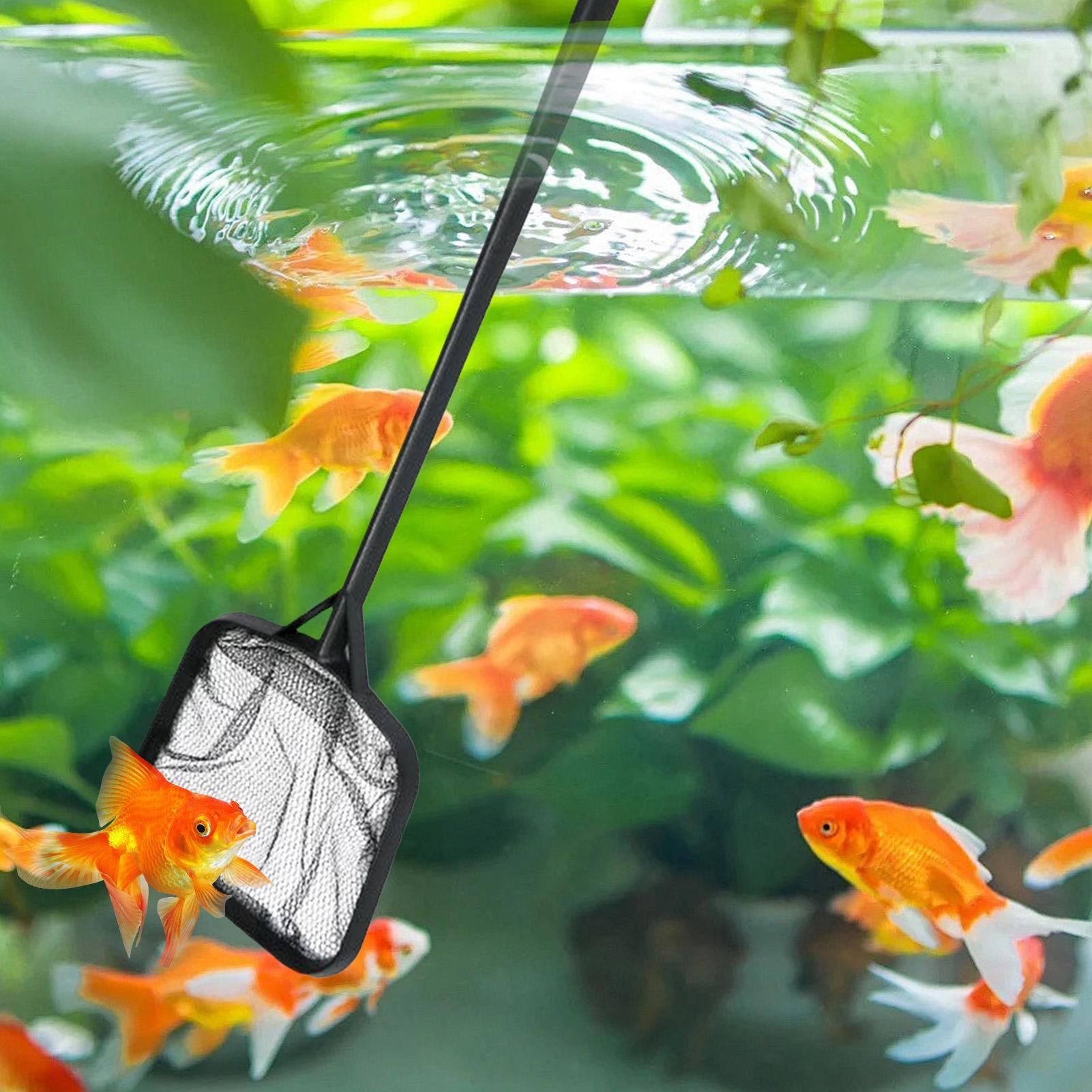 Poolnetze zur Reinigung, tragb – Planted Aquarium Cleaning Bewertung und Preis