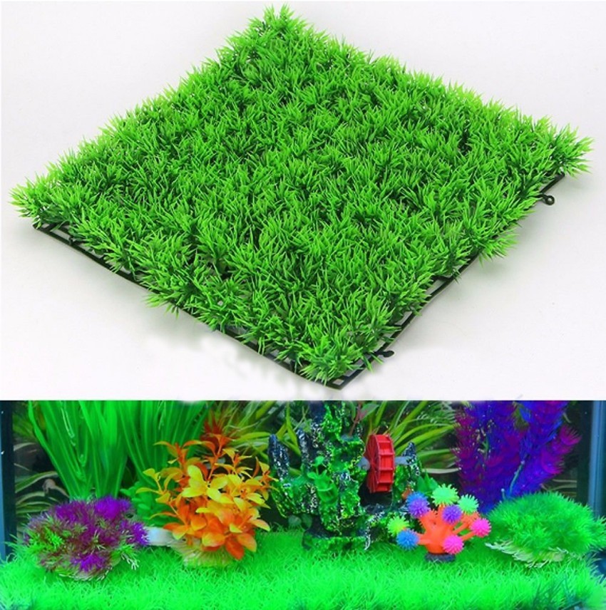 Künstliche grüne Graspflanze,  – Aquarium Planted Seeds Bewertung und Preis