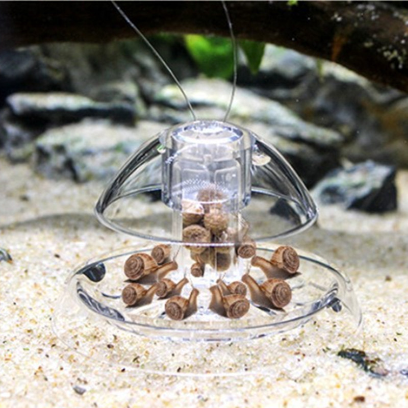 1 Stück Aquarium Aquarium Rein – Planted Aquarium Cleaning Bewertung und Preis