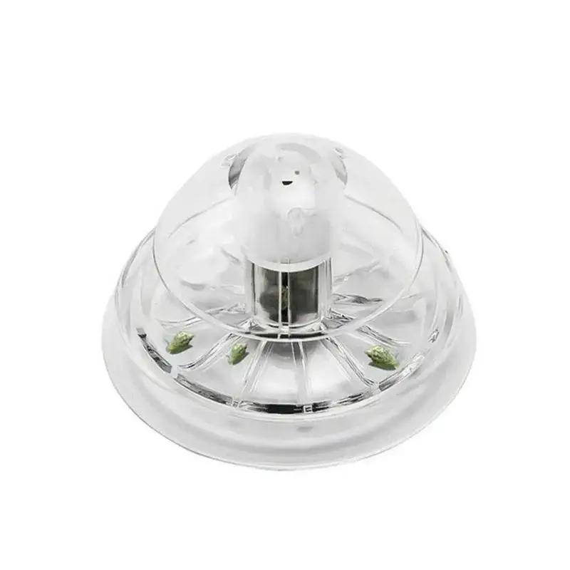2026 Neu 6/8CM Klare Plastik-S – Planted Aquarium Cleaning Bewertung und Preis