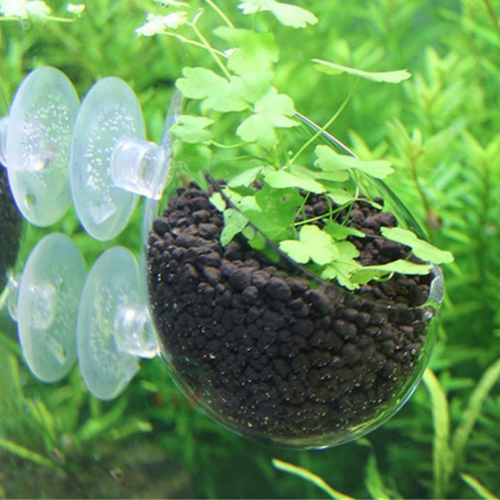 Aquarium-Pflanzenhalter Glas-W – Aquarium Plant Vine Bewertung und Preis