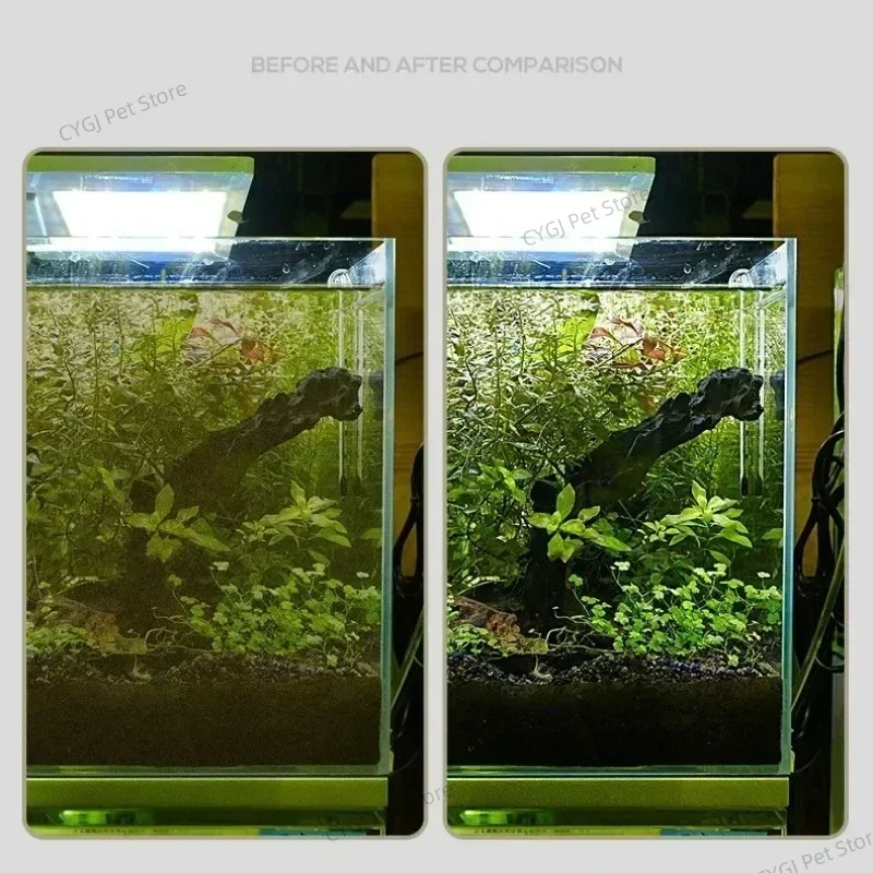 Aquarium Reinigung Werkzeug Fl – Planted Aquarium Cleaning Bewertung und Preis