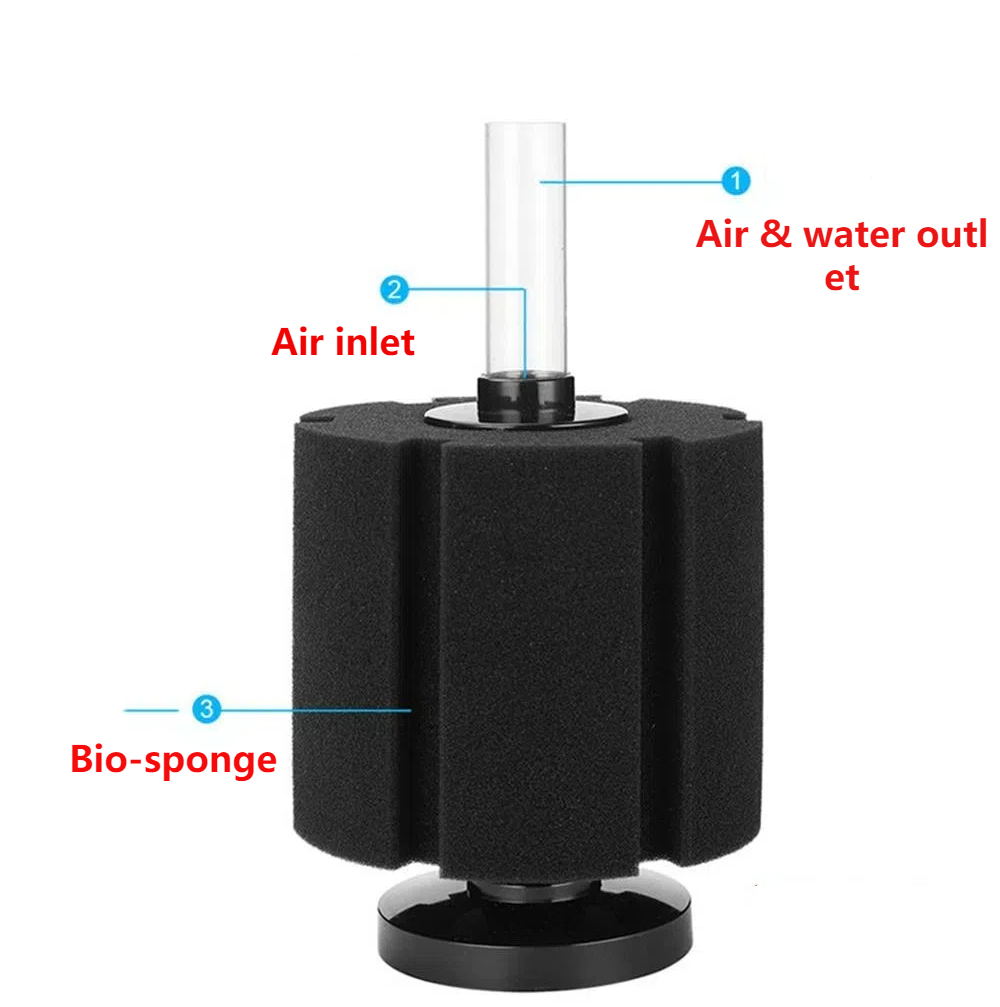 Aquarium Filter Schwamm Für Aq – Aquarium Planted Filter Bewertung und Preis