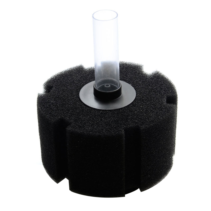 Aquarium Filter Schwamm Für Aq – Aquarium Planted Filter Bewertung und Preis