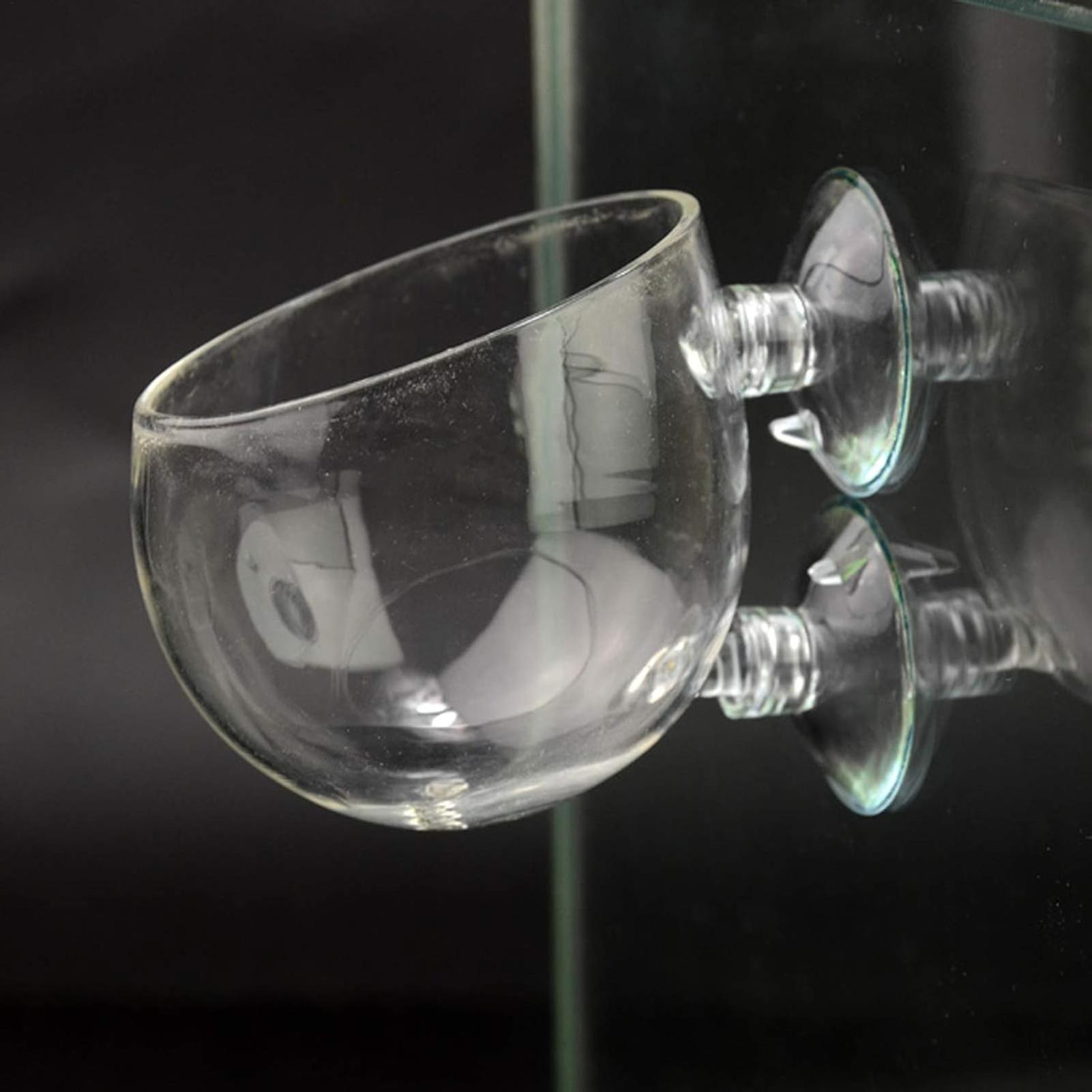 Aquarium-Glas-Pflanztopf mit S – Aquarium Plant Vine Bewertung und Preis
