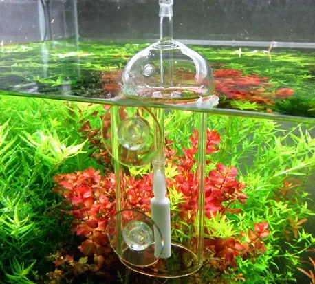 VIV DO DEVICE Aquarium-Zylinde – Planted Aquarium Air Stone Bewertung und Preis