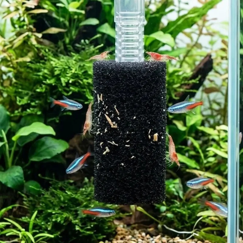 50/5x Vorfilter-Schwamm für Aq – Aquarium Planted Filter Bewertung und Preis