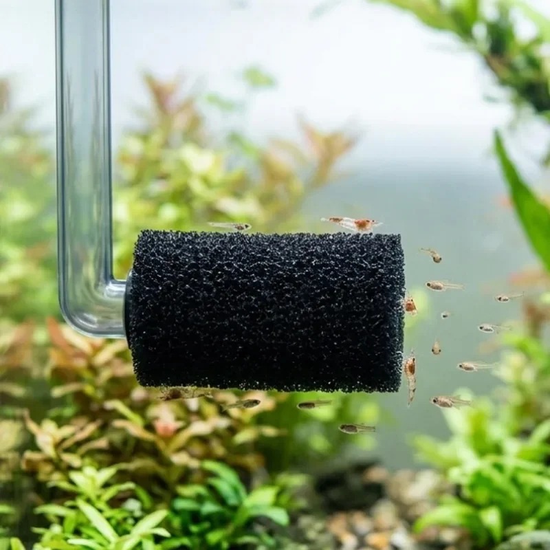 50/5x Vorfilter-Schwamm für Aq – Aquarium Planted Filter Bewertung und Preis