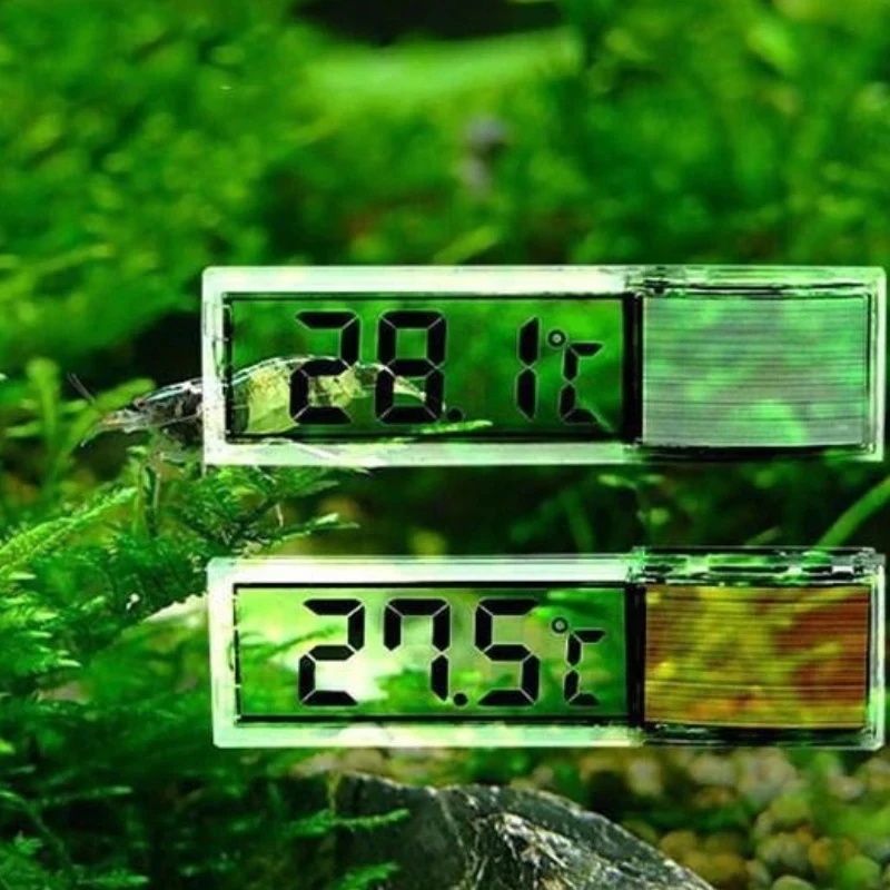 1/2/3/4 Stück Aquarium-Thermom – Aquarium Planted Seeds Bewertung und Preis
