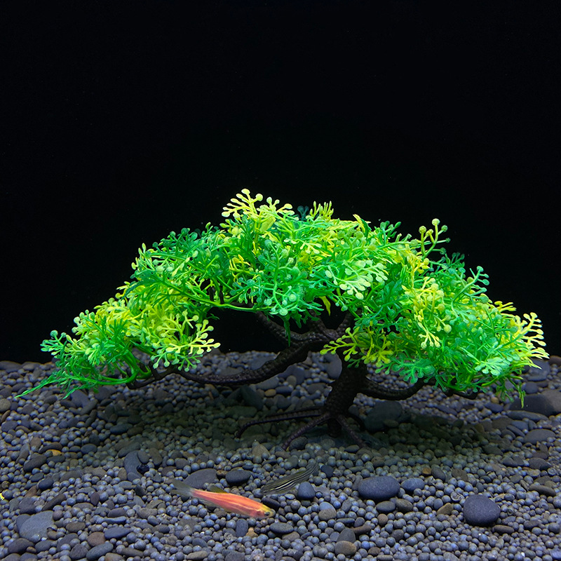 Aquarium-Bonsai-Baum, Pflanze, – Aquarium Planted Seeds Bewertung und Preis