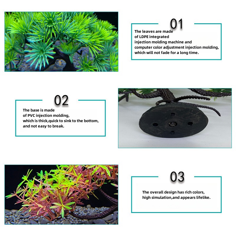 Aquarium-Bonsai-Baum, Pflanze, – Aquarium Planted Seeds Bewertung und Preis