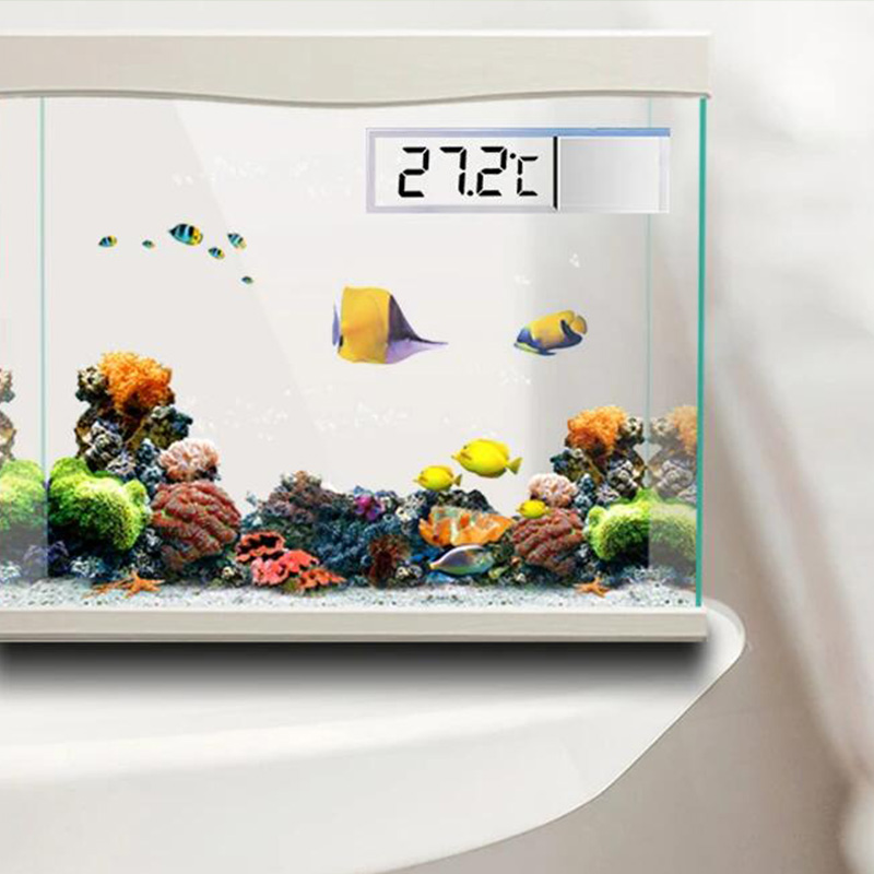 Wasserdichtes Aquarium-Thermom – Aquarium Planted Seeds Bewertung und Preis