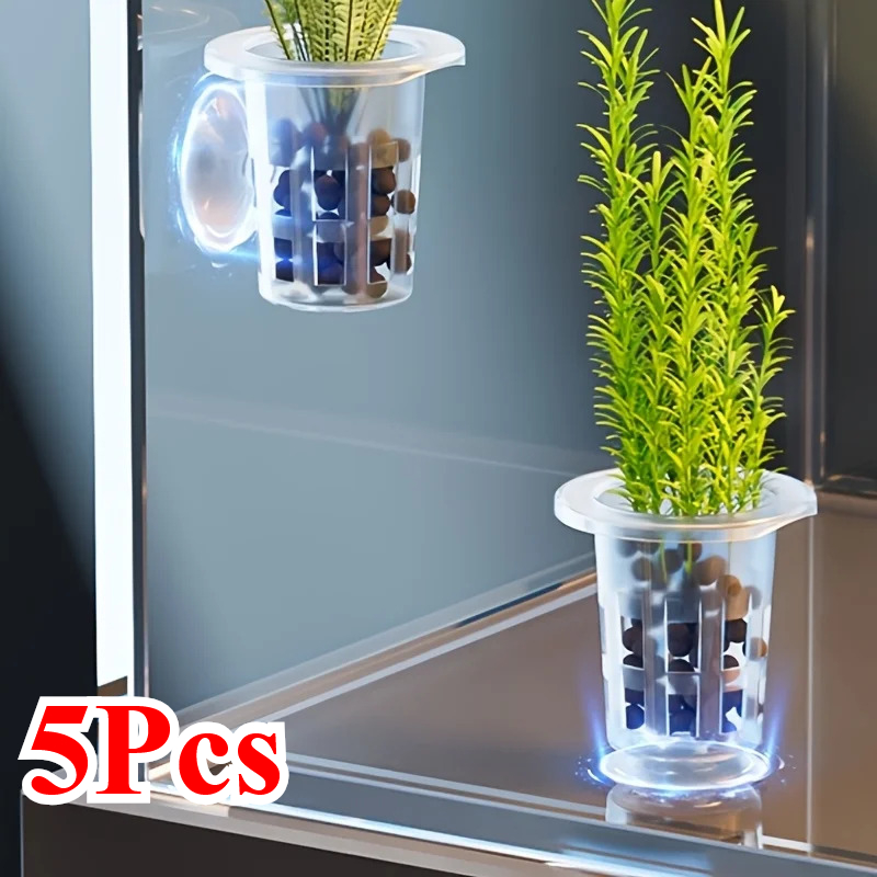 5 Stück transparente Kunststof – Aquarium Planted Seeds Bewertung und Preis