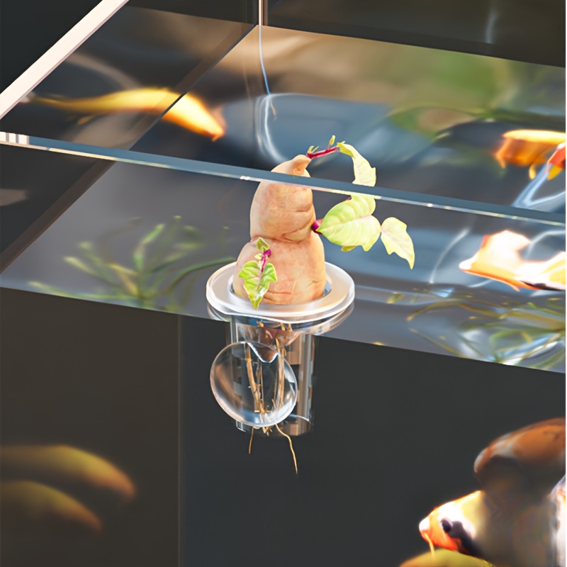 5 Stück transparente Kunststof – Aquarium Planted Seeds Bewertung und Preis