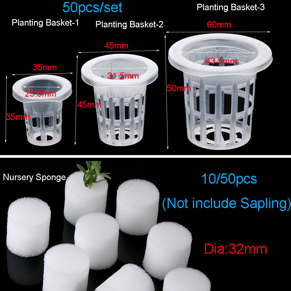 10/50 stücke Langlebige Pflanz – Aquarium Planted Seeds Bewertung und Preis