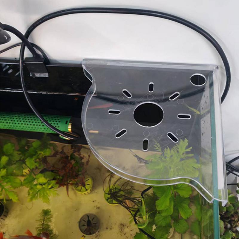 Aquarium Eckregal Korallen Fra – Aquarium Planted Seeds Bewertung und Preis